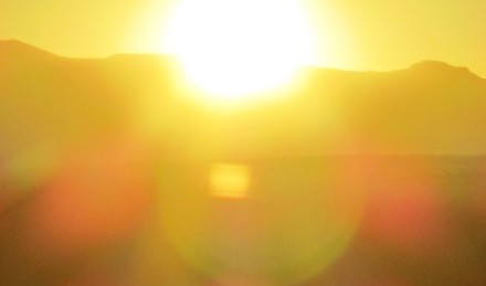 cropped-img 00603
